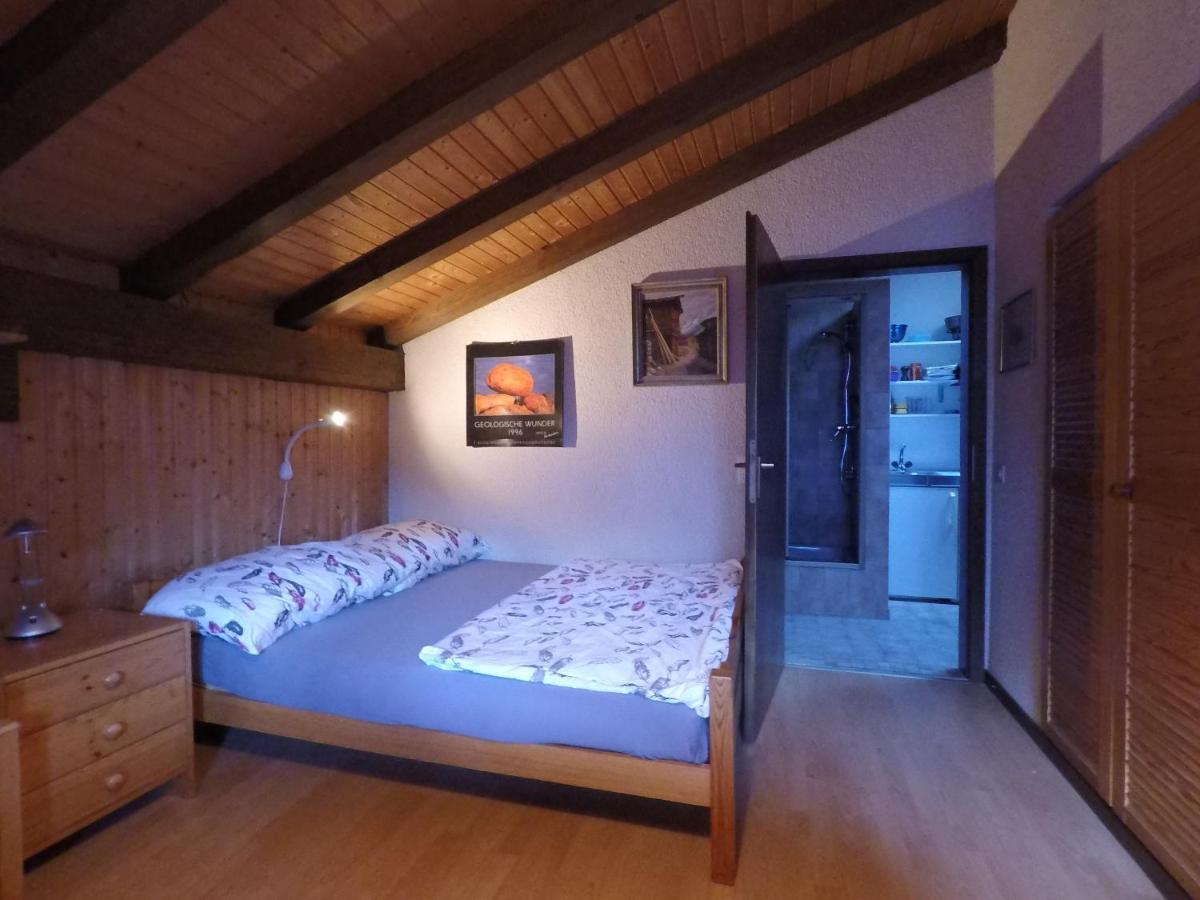Ferienwohnung Interlaken/Wilderswil Bagian luar foto