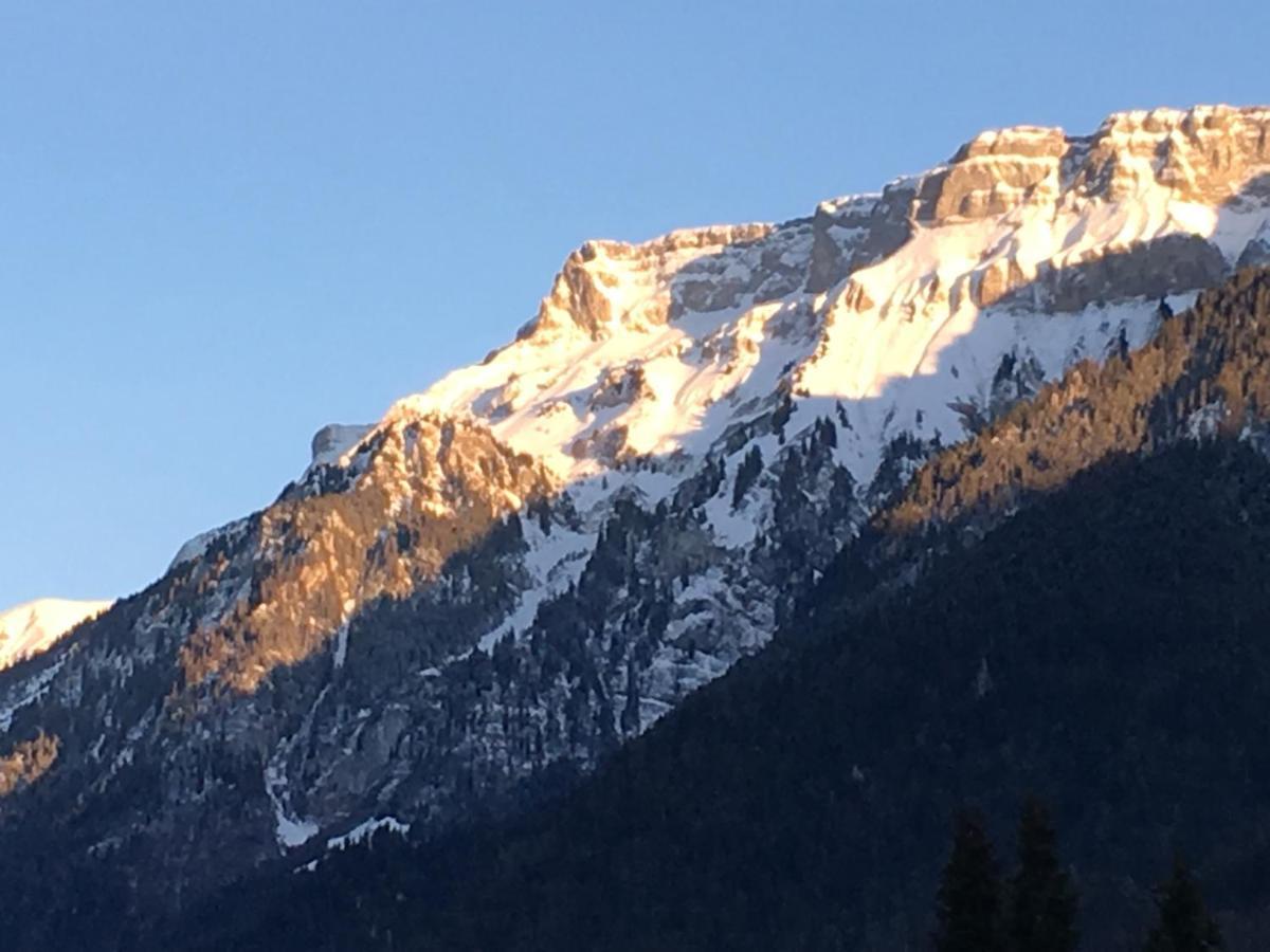 Ferienwohnung Interlaken/Wilderswil Bagian luar foto