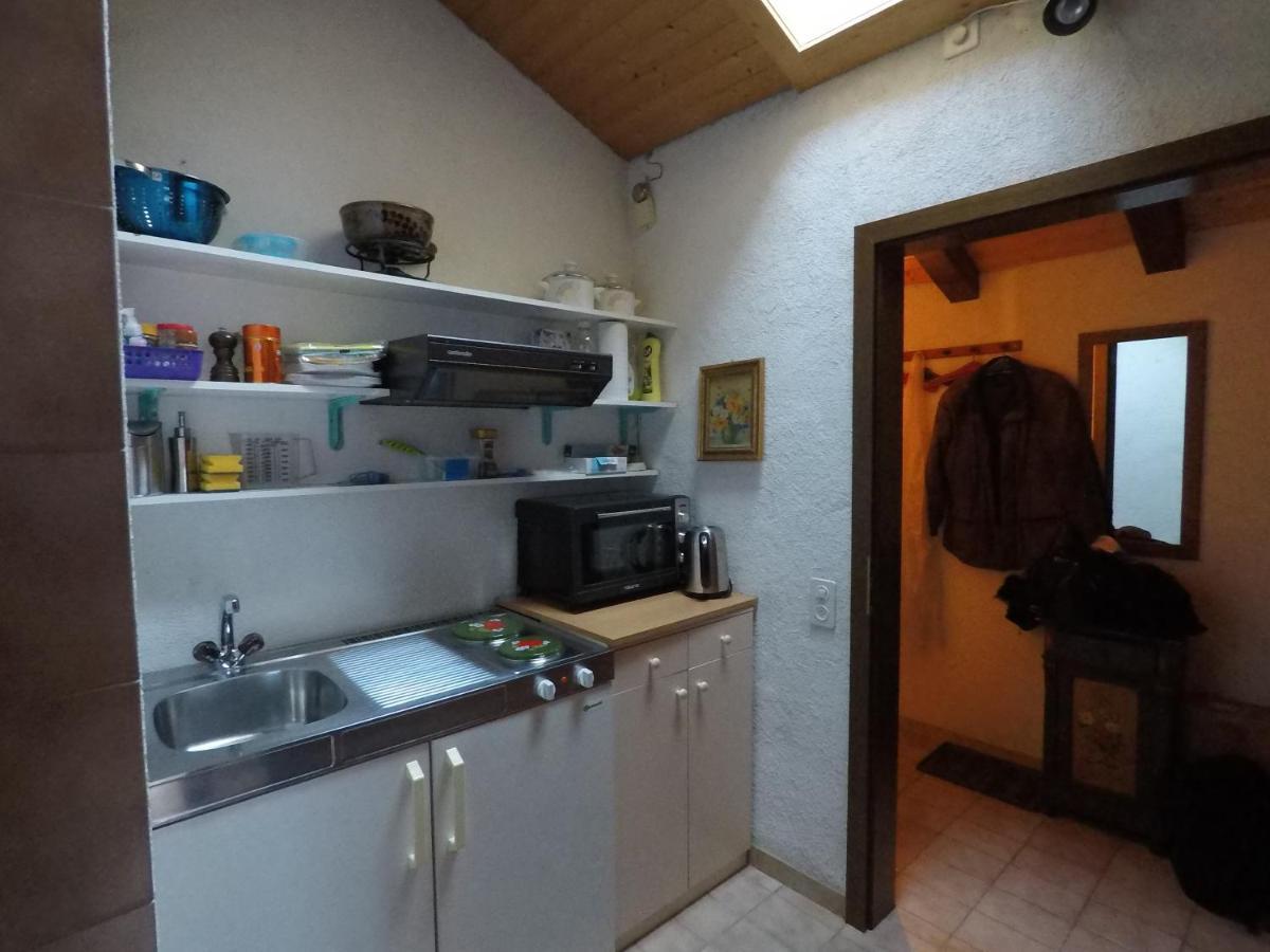 Ferienwohnung Interlaken/Wilderswil Bagian luar foto